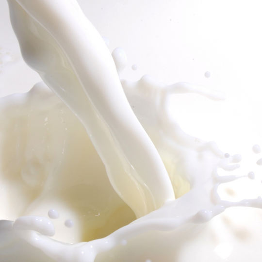 NL-H-Hương Sữa