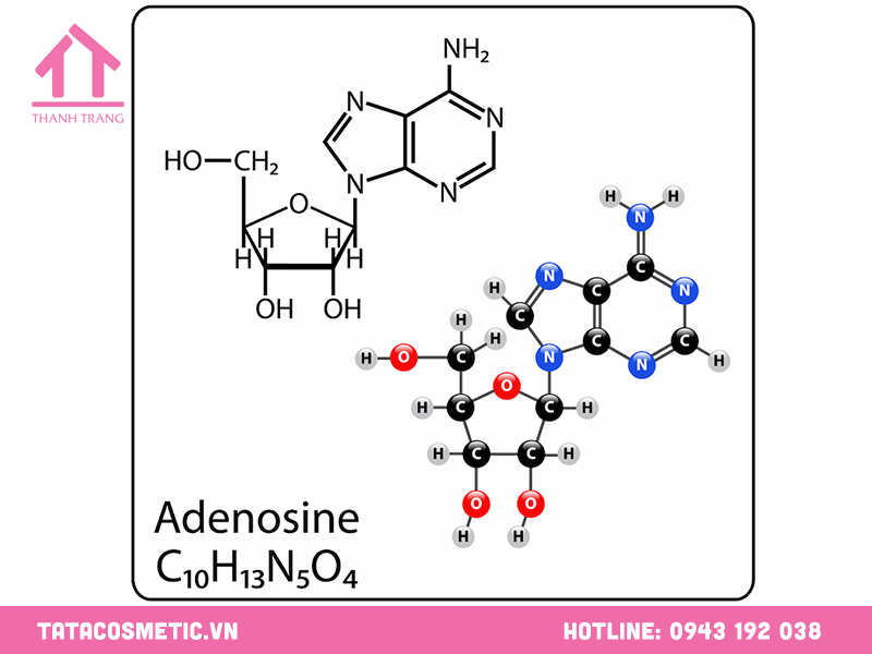 Tác dụng của Adenosine trong mỹ phẩm